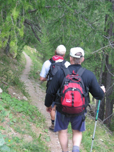 chasse_rougnouse_282729.jpg