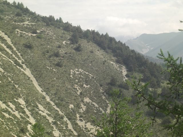 cheval_blanc_05.jpg