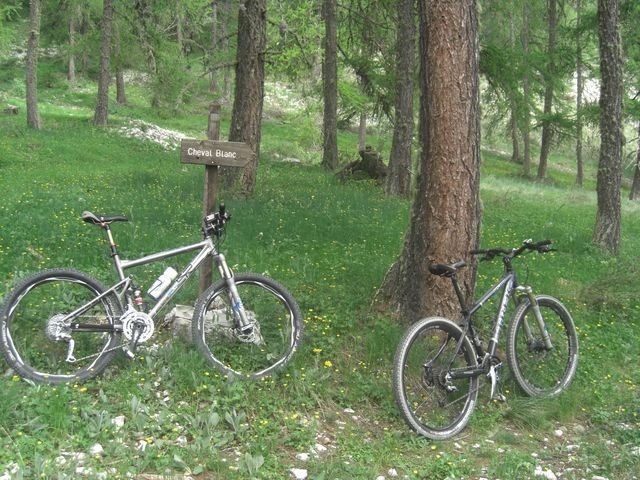cheval_blanc_06.jpg