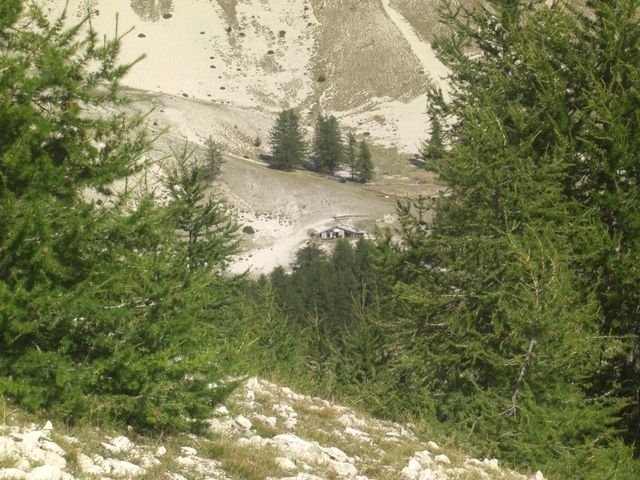 cheval_blanc_31.jpg