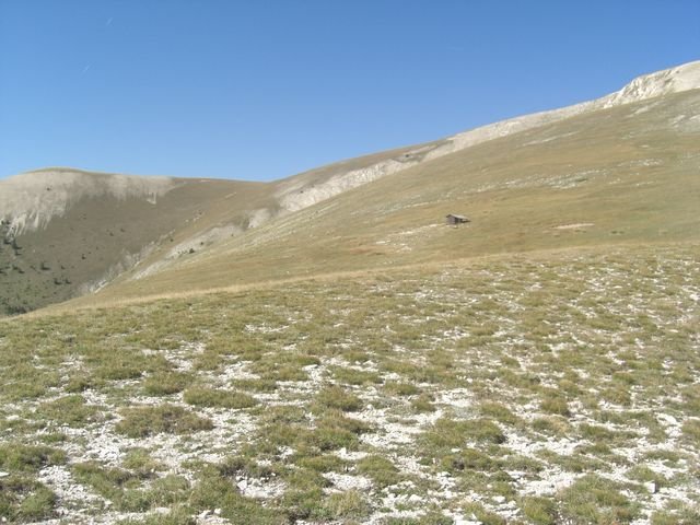 cheval_blanc_34.jpg