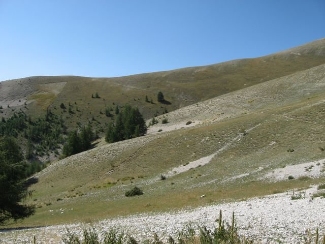 cheval_blanc_47.jpg
