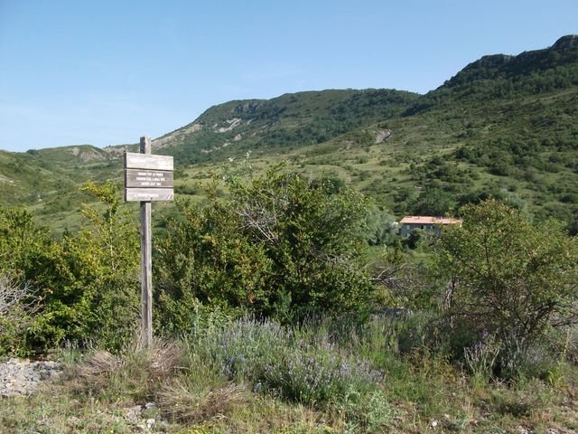 chiran__13_07_2010_07.jpg