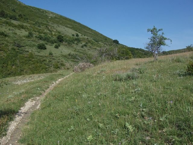 chiran__13_07_2010_10.jpg