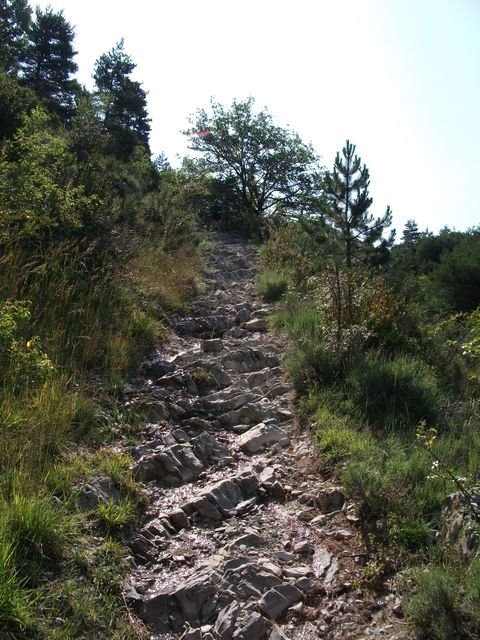 chiran__13_07_2010_17.jpg