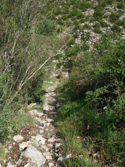 chiran__13_07_2010_18.jpg