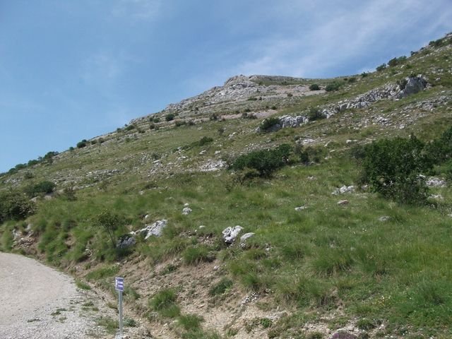 chiran__13_07_2010_25.jpg
