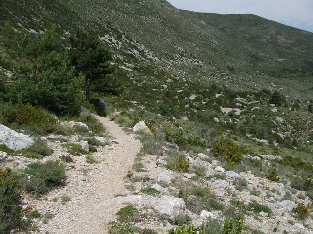 chiran__13_07_2010_33.jpg