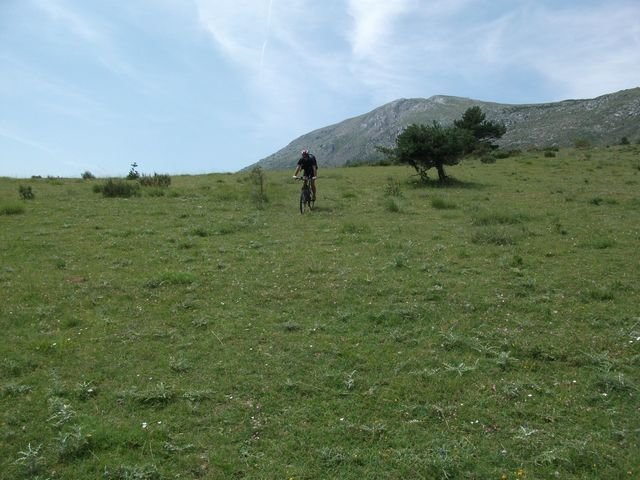 chiran__13_07_2010_35.jpg