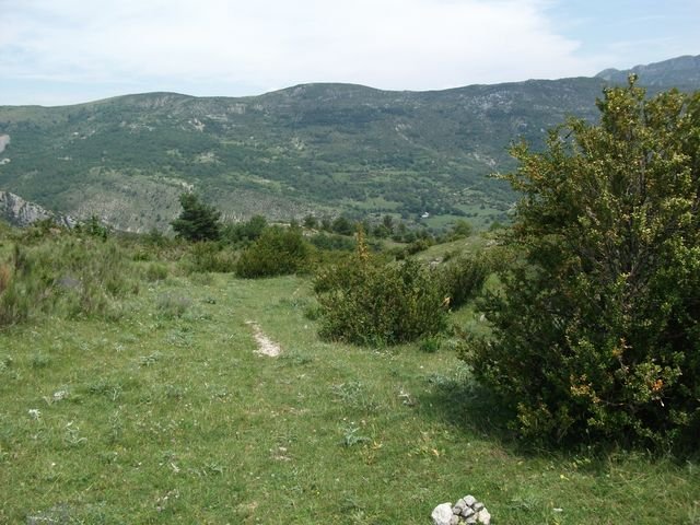 chiran__13_07_2010_36.jpg