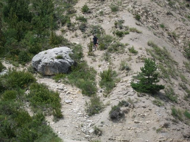 chiran__13_07_2010_40.jpg