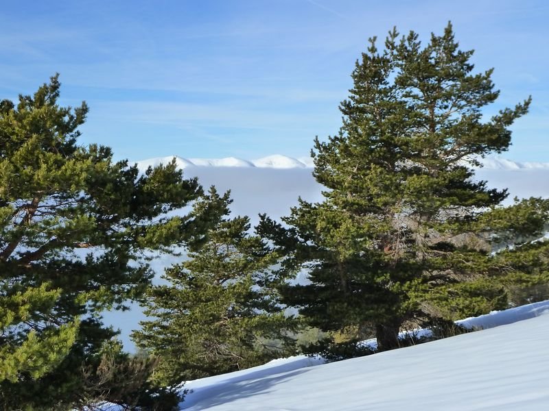 couradour_dec_2010_33.jpg
