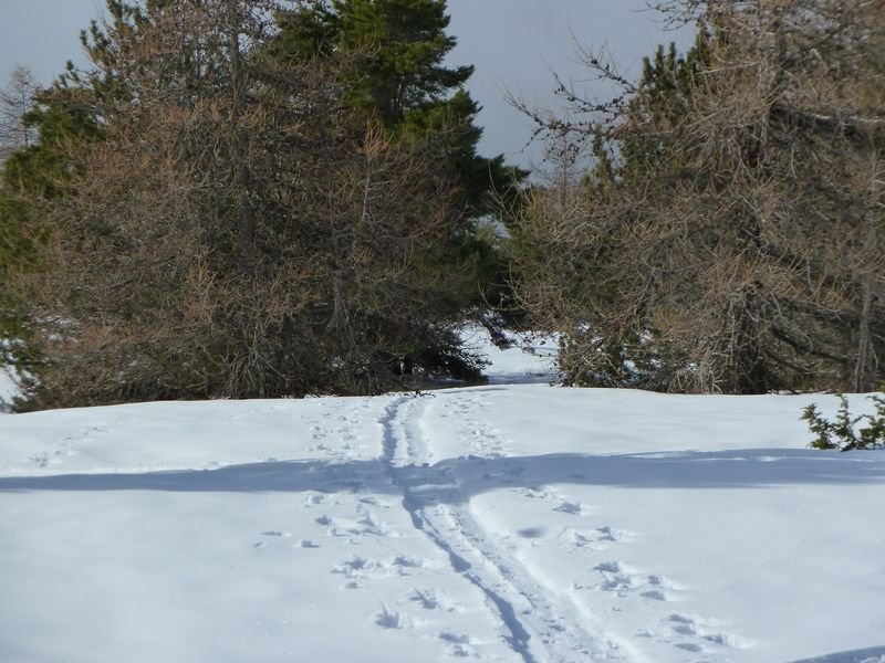 couradour_dec_2010_40.jpg