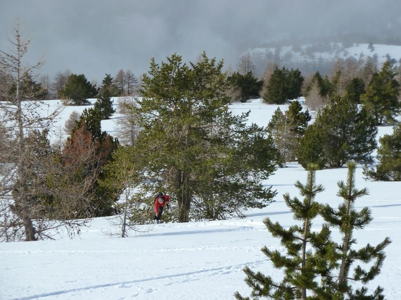 couradour_dec_2010_50.jpg