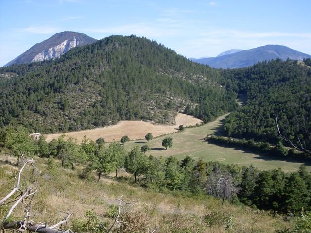 courchon_05.jpg