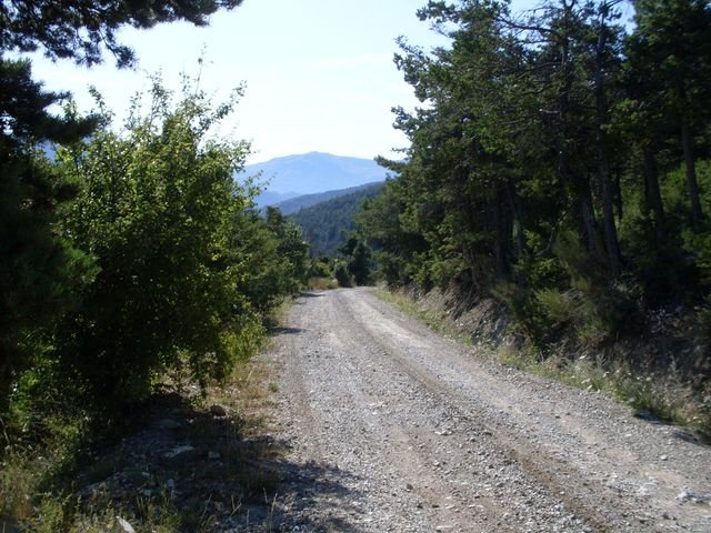 courchon_06.jpg