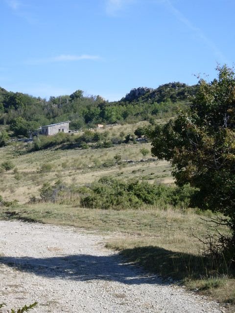 courchon_10.jpg