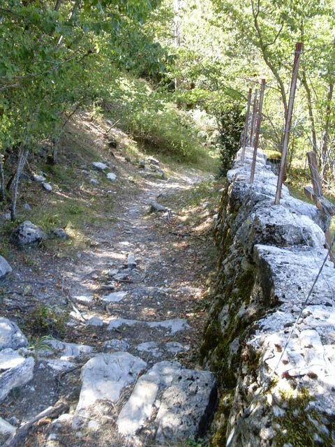 courchon_15.jpg
