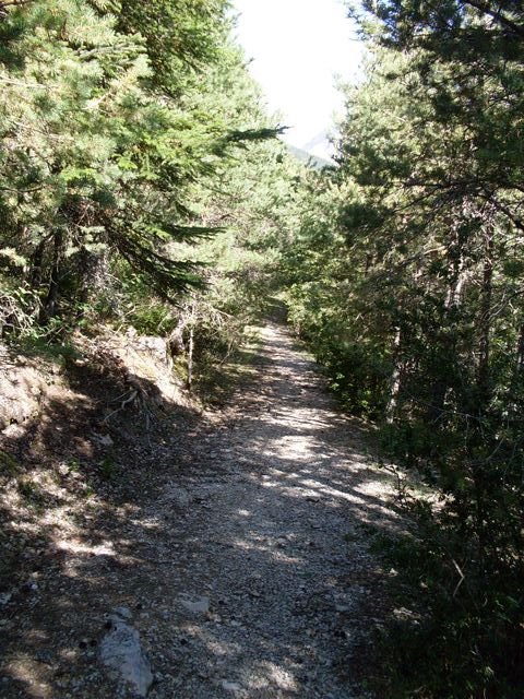 courchon_22.jpg