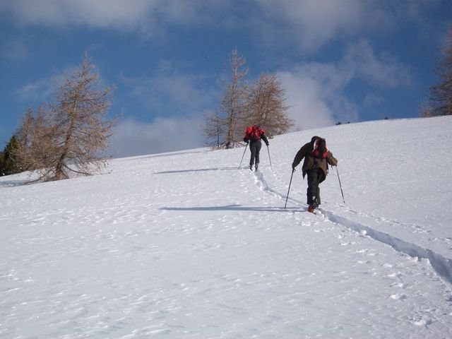 courradour_fevrier_2010_j_16.jpg