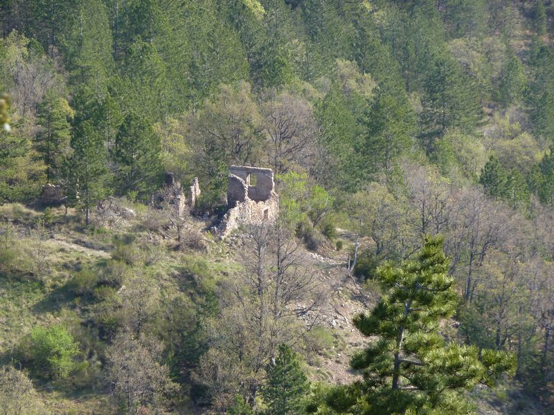 creisset_2011_10.jpg