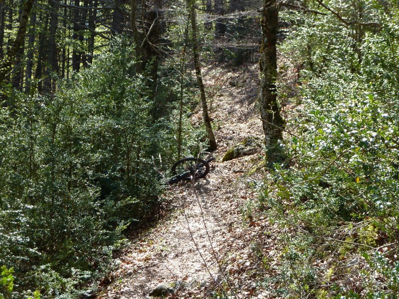 creisset_2011_26.jpg