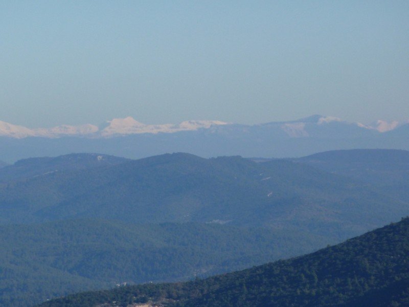 faron_03_12_10_002.jpg