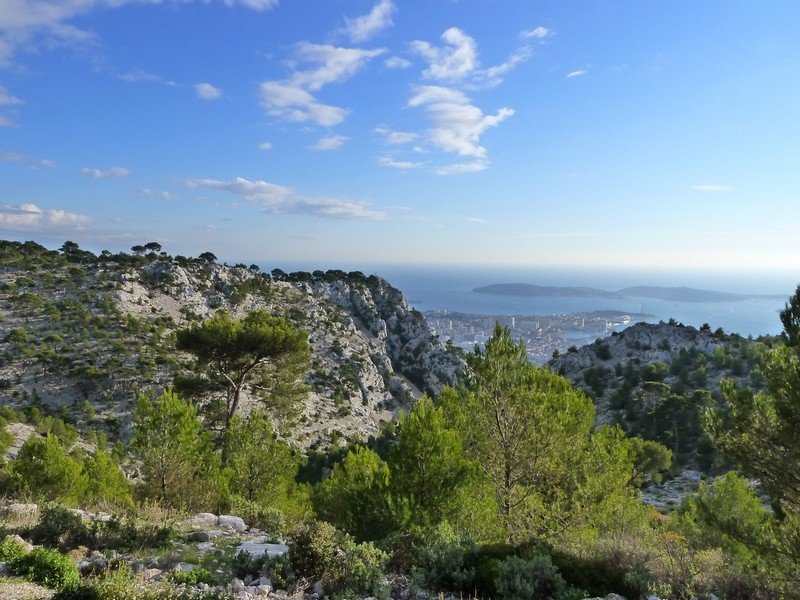 faron_24_11_2010_007.jpg