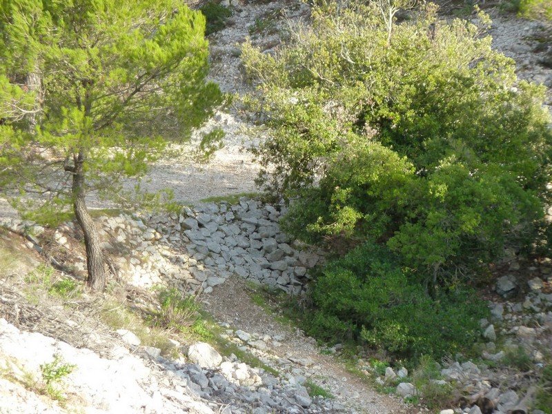 faron_24_11_2010_014.jpg