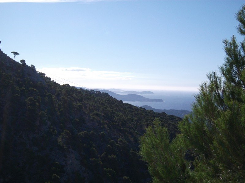 faron_26_09_2010_14.jpg