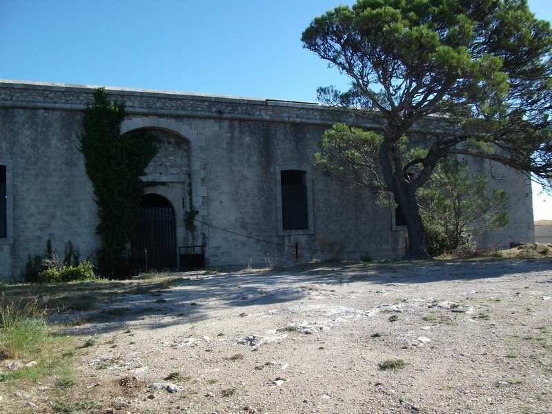 faron_26_09_2010_34.jpg