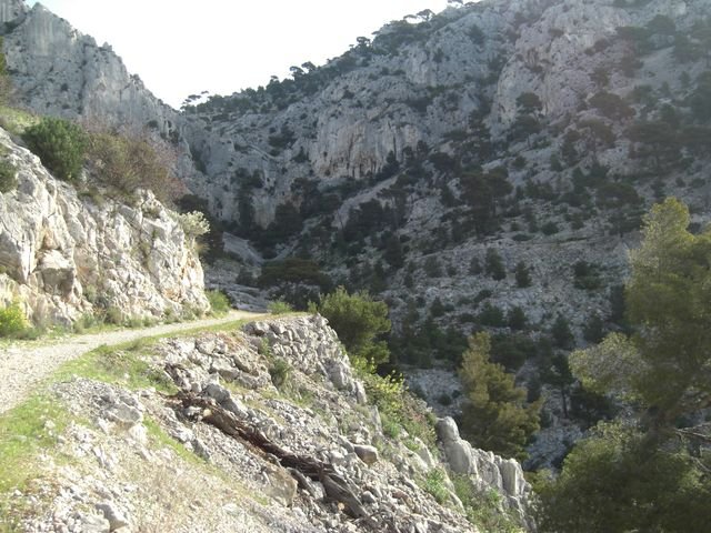 faron_classique_10.jpg