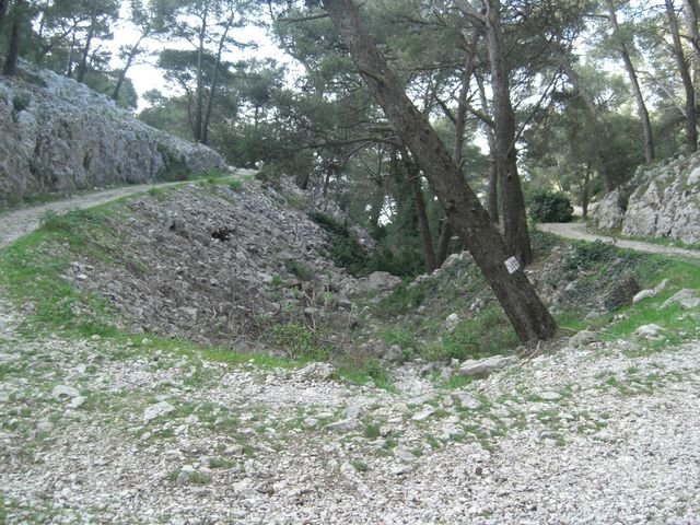 faron_classique_19.jpg