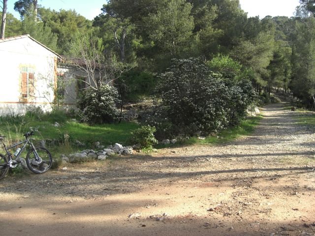 faron_classique_20.jpg