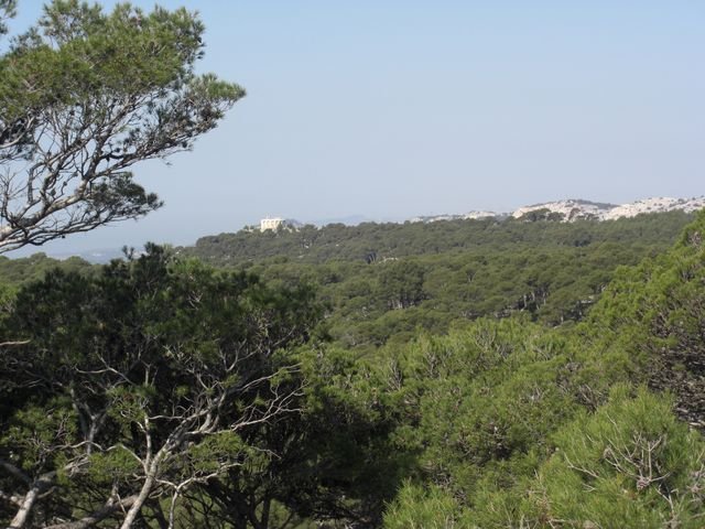 faron_classique_43.jpg