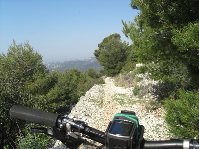 faron_classique_57.jpg
