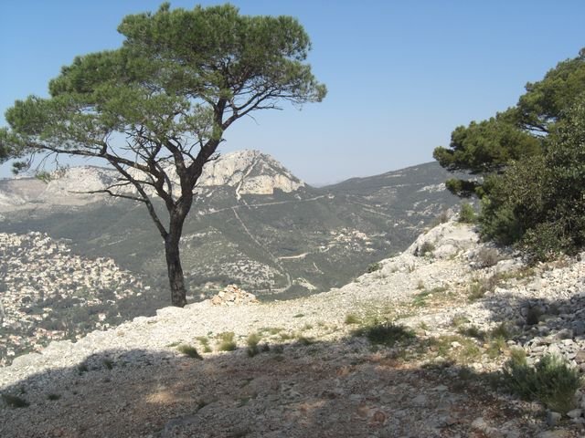 faron_classique_59.jpg