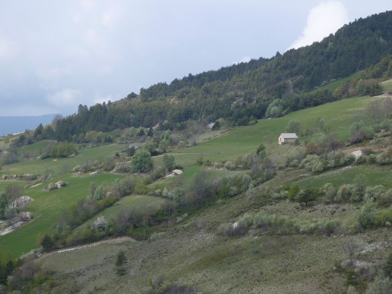 font_blanche_avril_2011_45.jpg