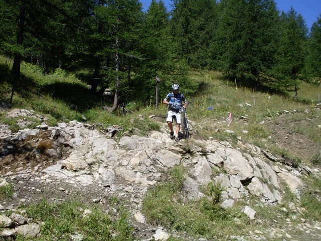 foux_seignus_37.jpg