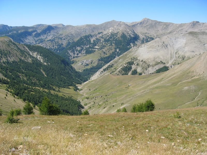 gros_tapy_chasse_13.jpg