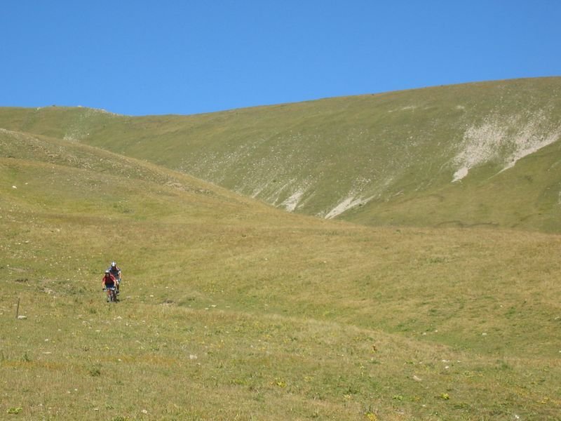 gros_tapy_chasse_28.jpg