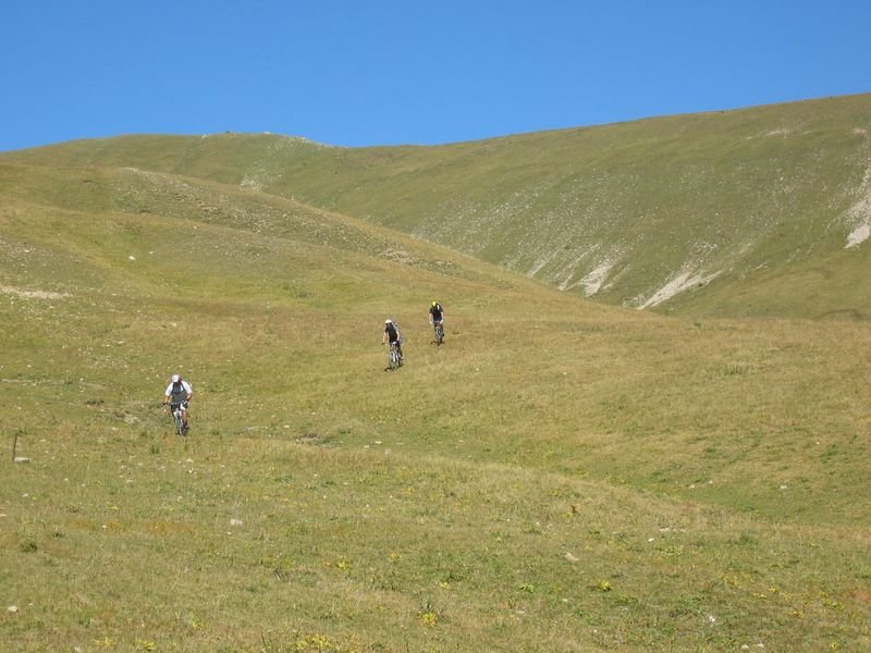 gros_tapy_chasse_35.jpg