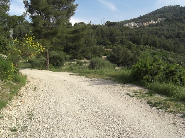 le_coudon_03.jpg
