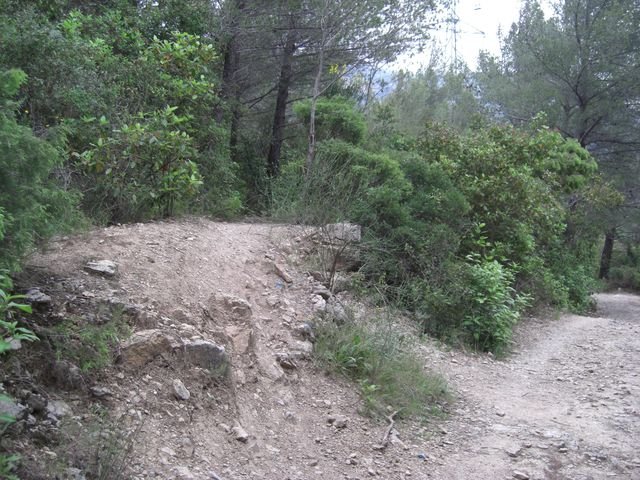 le_coudon_12.jpg