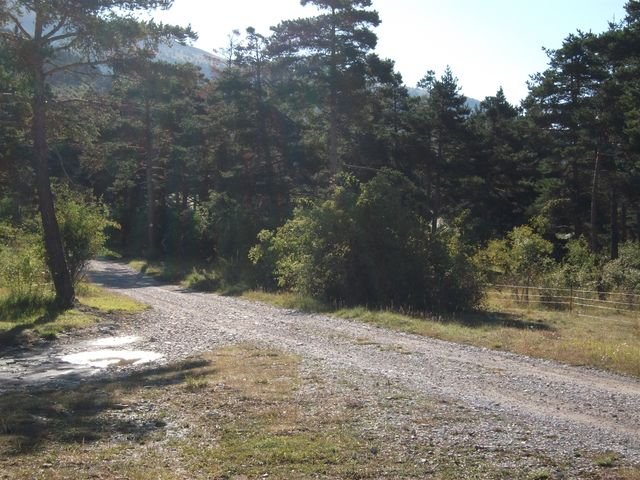 maurel_05.jpg
