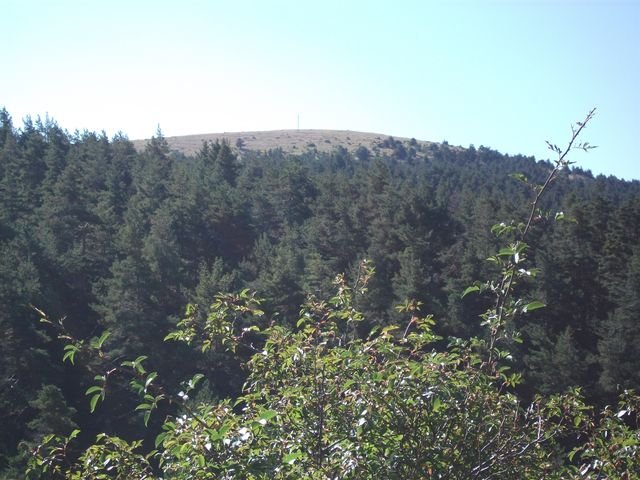 maurel_10.jpg