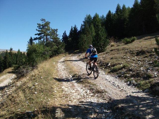 maurel_11.jpg