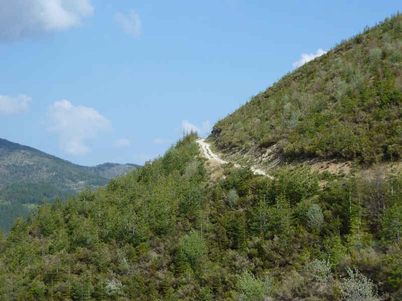 maurel_avril_2011_06.jpg