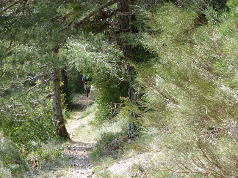 maurel_avril_2011_43.jpg