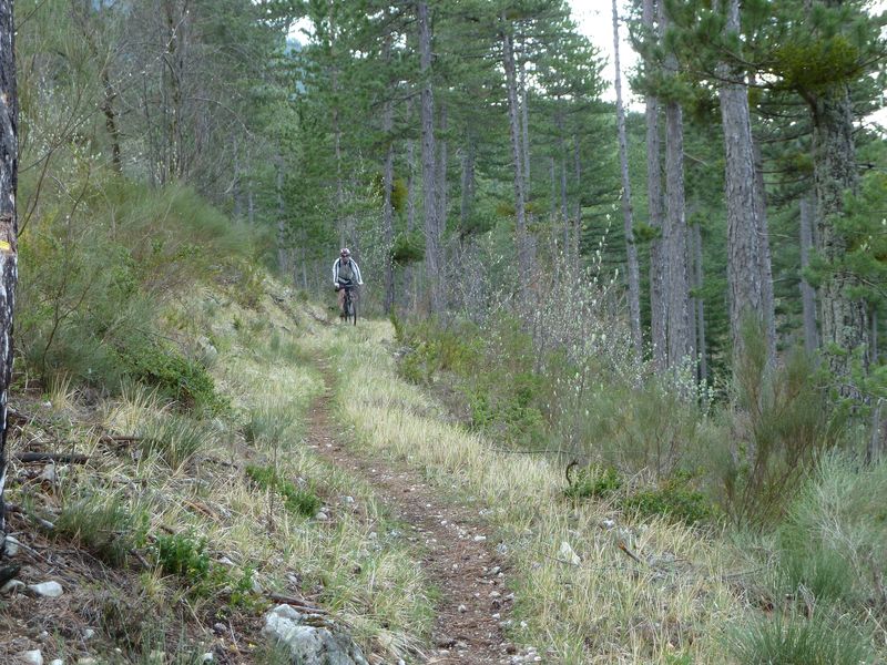 maurel_avril_2011_53.jpg